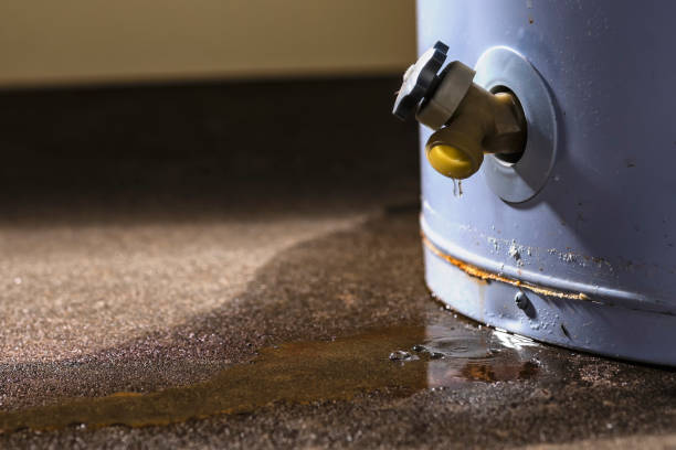 Best Flooded house restoration  in Washington, IA