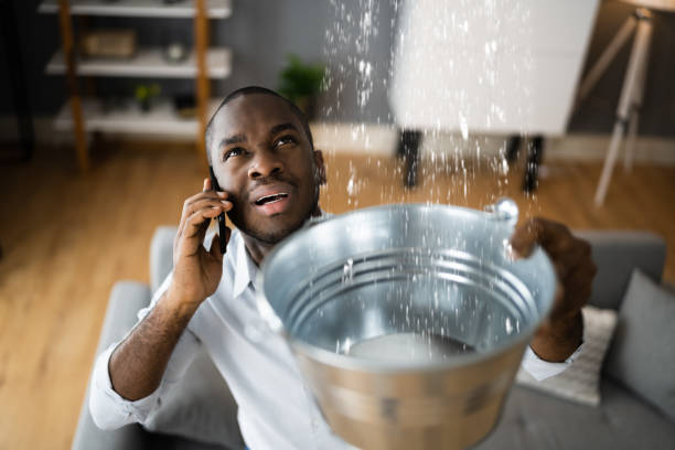 Best Water damage cleanup near me  in Washington, IA