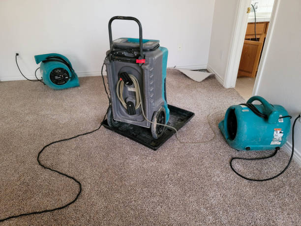 Best Water damage restoration near me  in Washington, IA