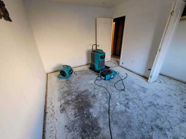 Best Sewage cleanup and water damage restoration  in Washington, IA