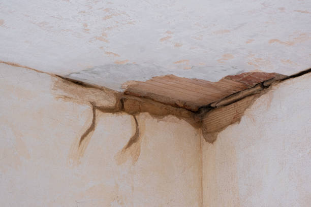 Best Sewage cleanup and water damage restoration  in Washington, IA
