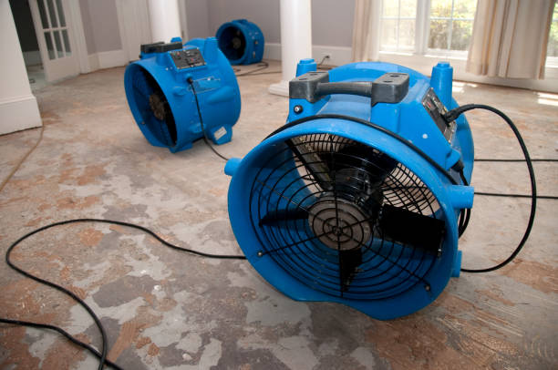 Best Basement water damage restoration  in Washington, IA