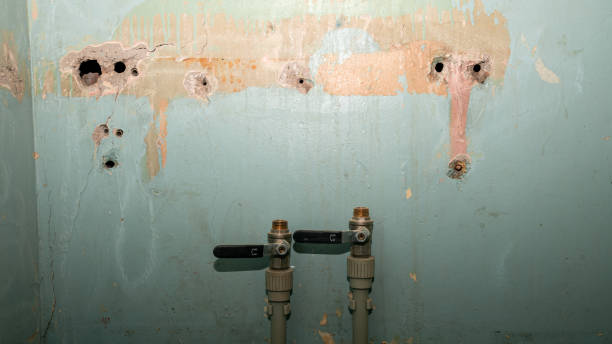 Best Water damage contractors near me  in Washington, IA