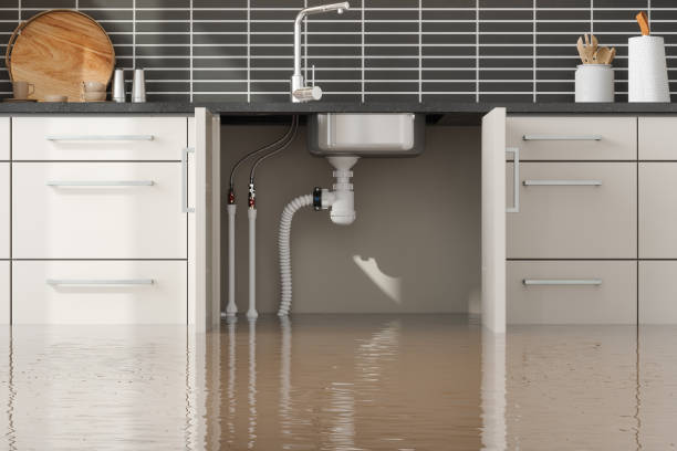 Best Flood restoration services  in Washington, IA