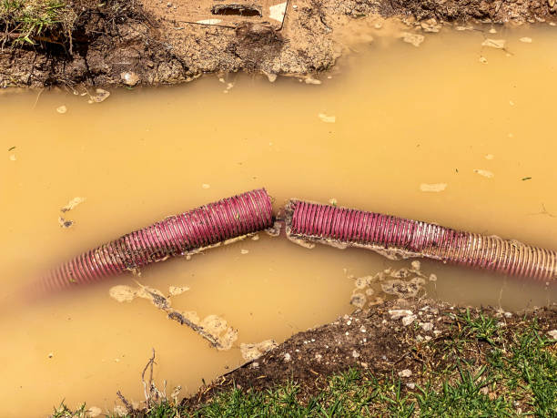Best Mold removal after water damage  in Washington, IA